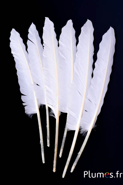 Oie Lame motif vague - 24-28 cm - blanc